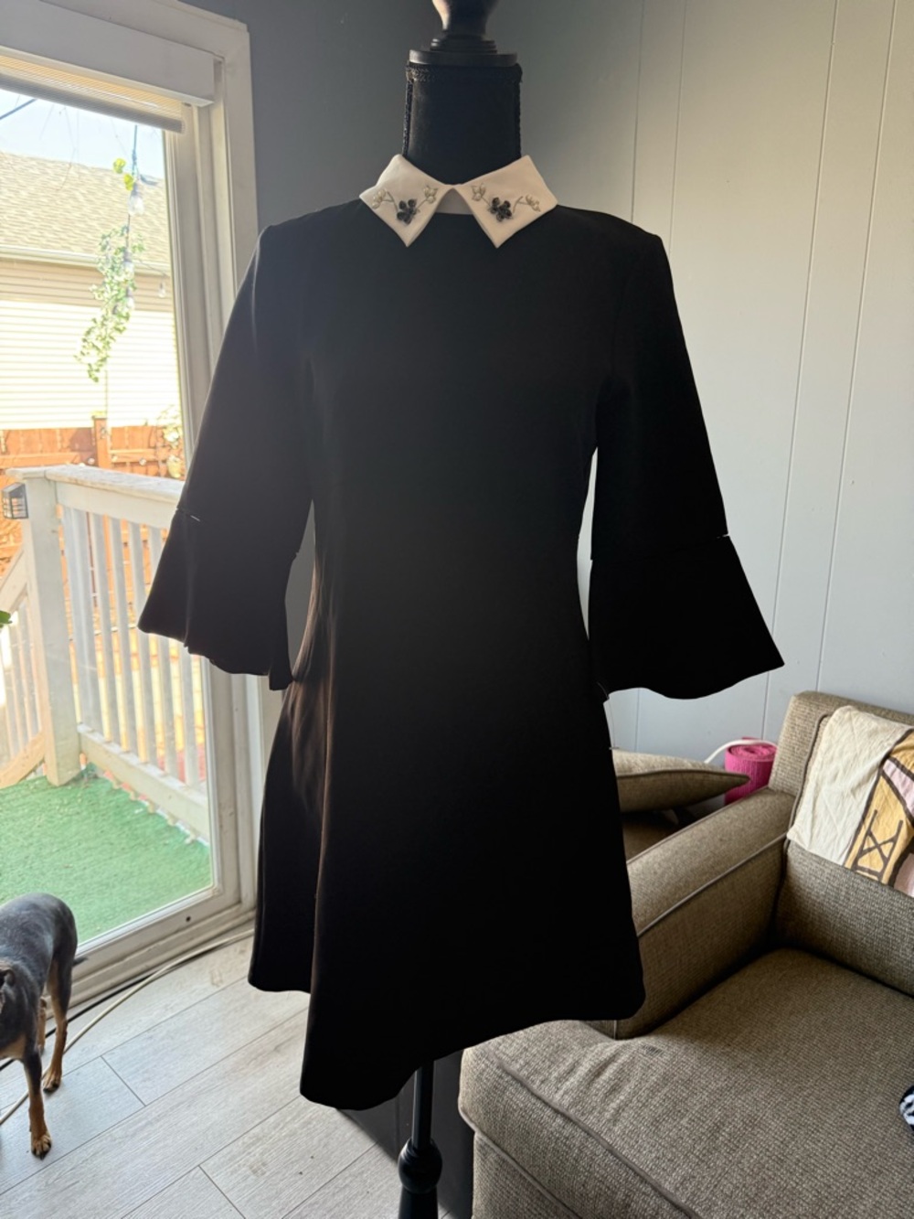 Zara Black Mini Dress with White Embellished Collar